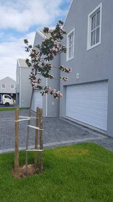 House For Rent in Langeberg Ridge, Cape Town
